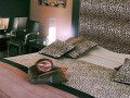 chambre-dhotes-9-pieces-400-m2-small-4