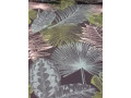 loue-f2-small-1