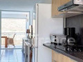 appartement-1-piece-47-m2-small-0