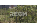 terrain-5-143-m2-saint-francois-small-1