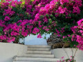 villa-sainte-anne-800m-mer-et-village-small-1