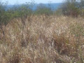 terrain-2-893-m2-n11-small-0