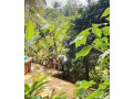 ti-lodge-nature-gitelogement-location-vacances-sainte-anne-68-pers-small-1