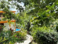 ti-family-nature-gite-studio-24-personnes-logement-location-de-vacances-sainte-anne-guadeloupe-small-1