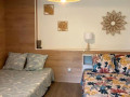 ti-family-nature-gite-studio-24-personnes-logement-location-de-vacances-sainte-anne-guadeloupe-small-2