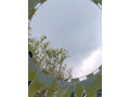 miroir-soleil-small-1