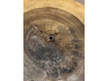 petit-tabouret-bois-massif-small-0