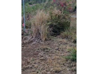 Terrain 1 159 m² Saint Martin
