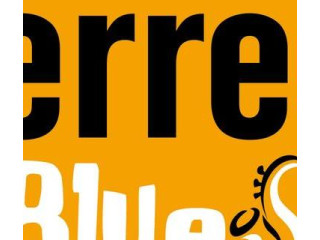 Festival Terre de Blues - Pass 3 jours