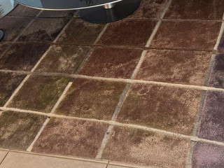 URGENT : Vente de tapis Roche Bobois