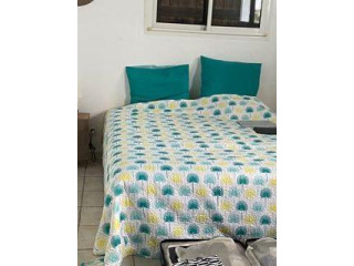 Loue appartement meublé