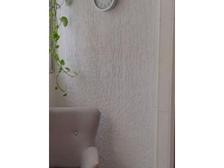 Location Local Professionnel