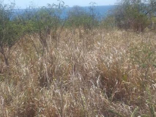 Terrain 2 893 m² N11