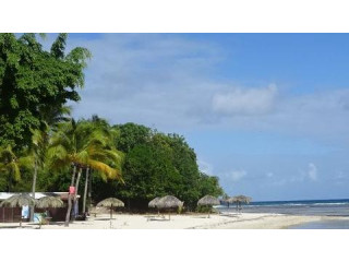 Appartement Anse des Rochers