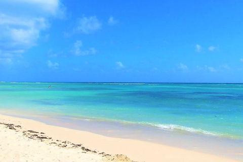 bungalows-tout-confort-a-saint-francois-au-calme-a-150-metres-de-la-plage-parking-reserve-big-0