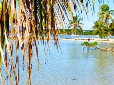 villa-sainte-anne-800m-mer-et-village-big-3