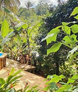ti-lodge-nature-gitelogement-location-vacances-sainte-anne-68-pers-big-1